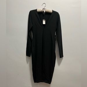 Express long sleeve dress